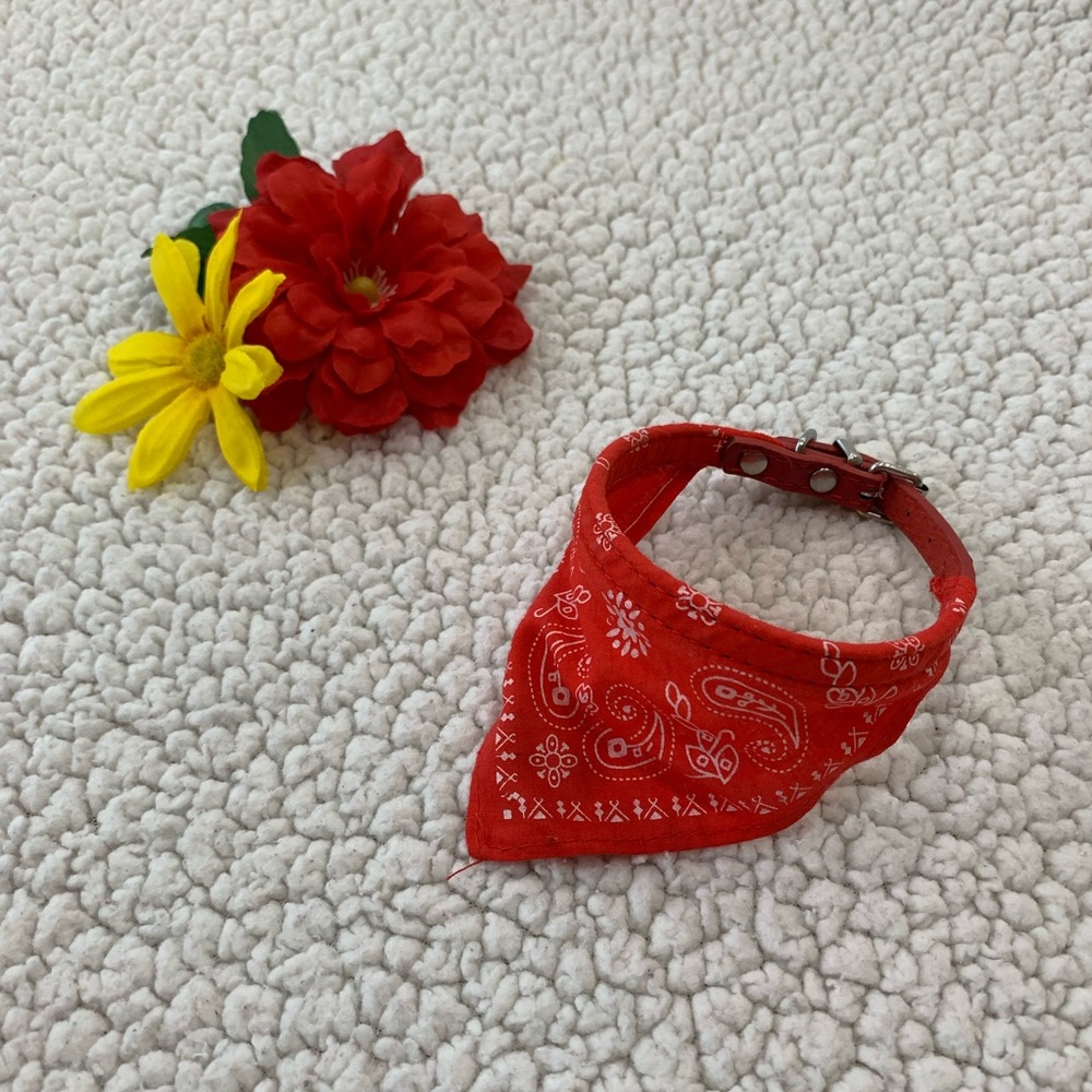 Dog Clothes Bundle - Picture 4 of 7